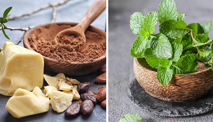 homemade lip balms,lip balm,lip care tips,skin care tips,beauty tips