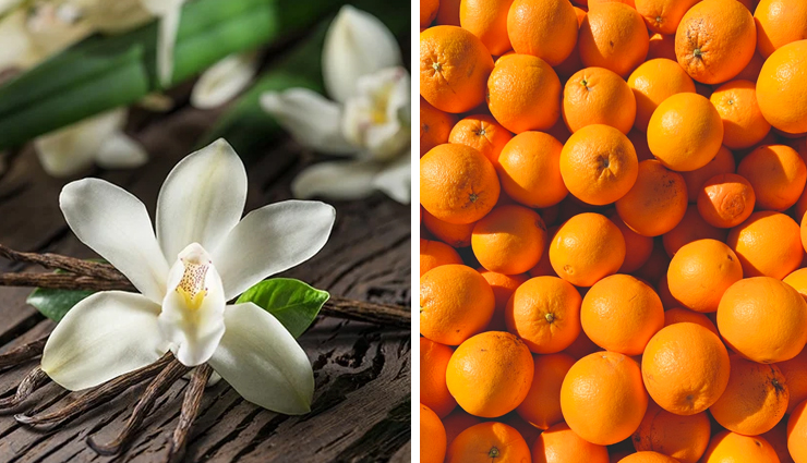 homemade lip balms,lip balm,lip care tips,skin care tips,beauty tips