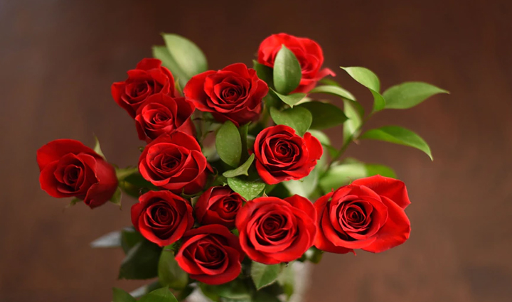 these home remedies are effective in enhancing the beauty of lips must try them,beauty tips,beauty hacks