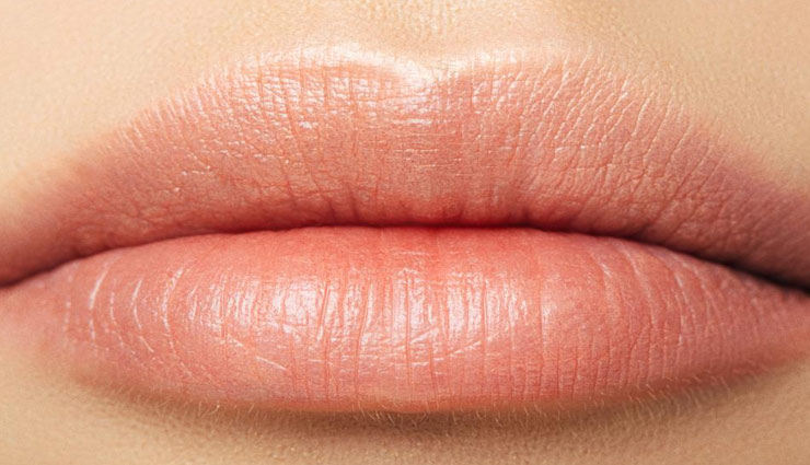 चहरे की सुन्दरता बढाते है होंठ, इन तरीकों से बरकरार रखें इनकी नमी