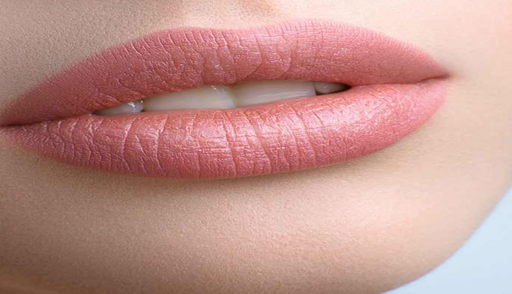 wrinkling of lips,beauty tips,simple skin care tips,simple beauty tips ,होठो,होठो  की देखभाल