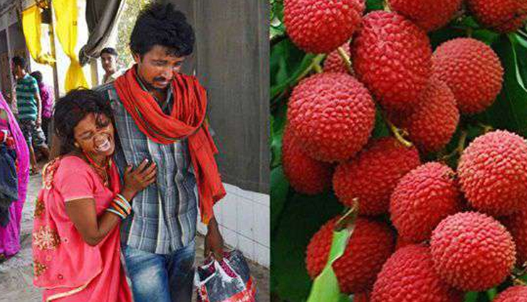 After encephalitis deaths, Odisha orders testing of litchi fruit