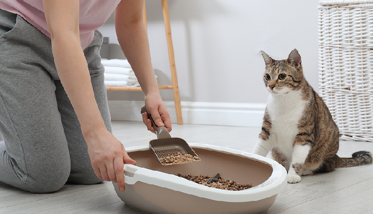 household tasks to avoid during pregnancy,chores pregnant women should not do,unsafe household work for pregnant women,activities to avoid in pregnancy at home,housework pregnant women should skip,household chores during pregnancy to avoid,tasks pregnant women must not do at home,unsafe household activities for expectant mothers,household restrictions for pregnant women,what chores should pregnant women avoid