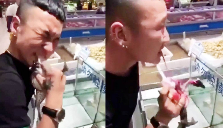 यौनशक्ति बढ़ाने के चक्कर में जिंदा मेंढक खा गया ये शख्स, देखे वीडियो