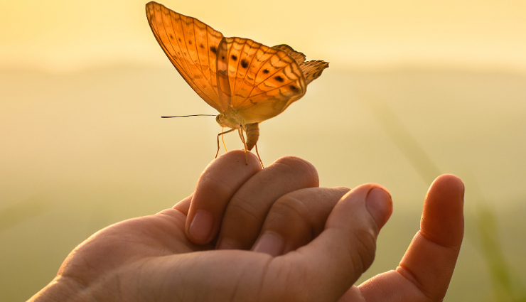 living in the moment,ways to be present,how to live in the now,being present in life,mindfulness practices,living in the present moment,letting go of the past,overcoming fear and anxiety,embracing positivity daily,living each day fully,being vulnerable in relationships,rediscovering joy and wonder,practicing forgiveness and release,finding happiness in the present,cultivating a positive mindset