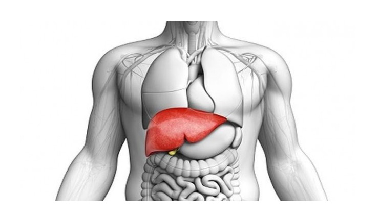 remedies to keep liver healthy,home remedies,Health tips,healthy living