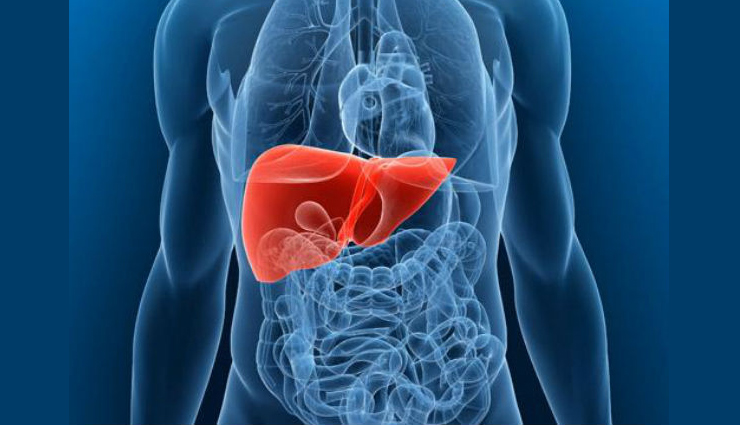 liver healthy,Health tips,healthy living,liver ,लीवर को मजबूत बनाने के तरीके,हेल्थ,हेल्थ टिप्स