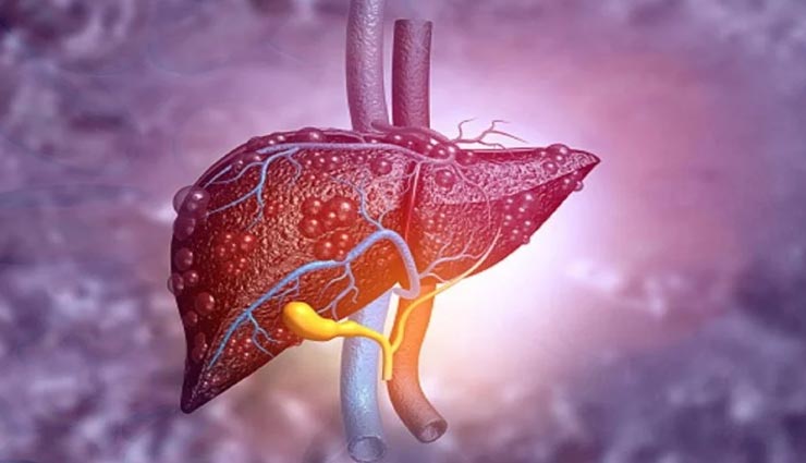 इन 4 चीजों को डाइट में शामिल कर अपने लिवर को बनाए मजबूत, आइये जानें