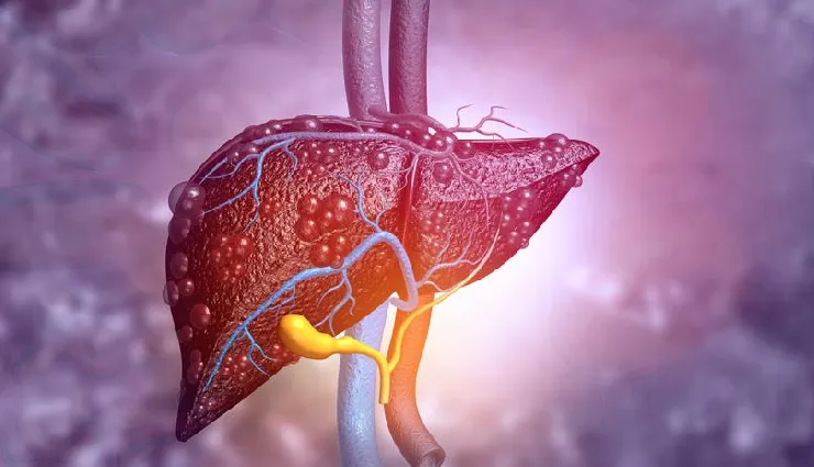 12 Ways To Find Out The Effects of Liver Damage on The Body