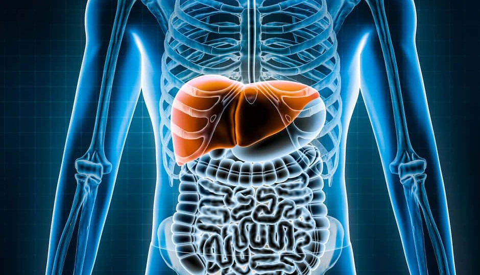 लिवर को रखें हेल्दी और टॉक्सिन-फ्री — अपनाएं ये असरदार घरेलू उपाय, लिवर कैंसर का खतरा रहेगा दूर