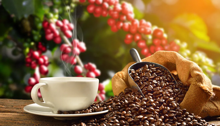 foods and drinks for liver,tips for healthy liver,Health tips,fitness tips