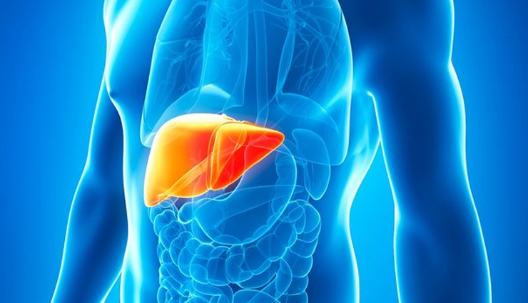 सिगरेट-शराब ही नहीं ये चीजें भी लिवर को पहुंचाती है नुकसान, बना ले इनसे दूरी
