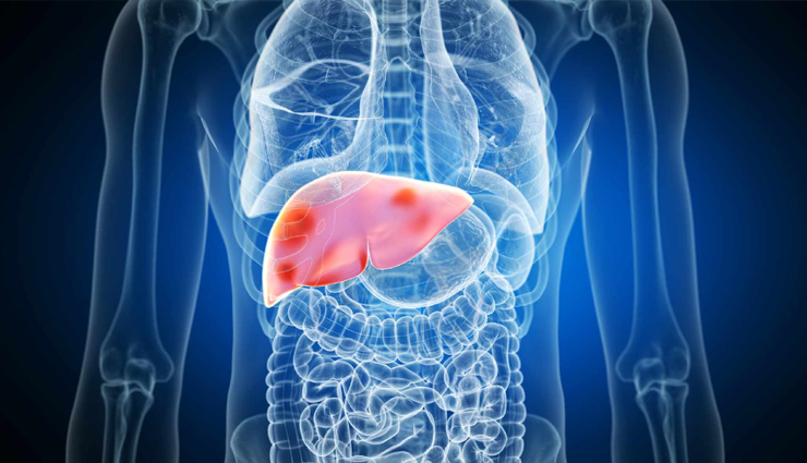 Hepatitis day: शरीर में लगभग 500 कार्यों को करता है लीवर, इसे हेल्दी रखने के लिए करें इन 14 सुपरफूड का सेवन 