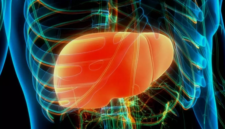 10 Effective Home Remedies to Keep Liver Healthy