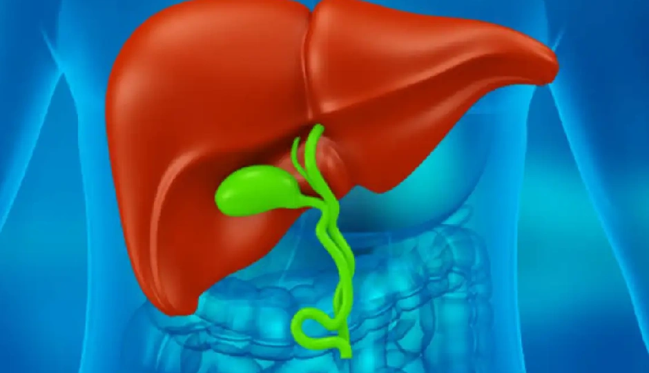 bhumi amla,liver detox,fatty liver remedy,hepatitis natural cure,bhumi amla juice benefits,ayurvedic liver care,kidney stone remedy,immunity booster,bhumi amla powder,how to use bhumi amla