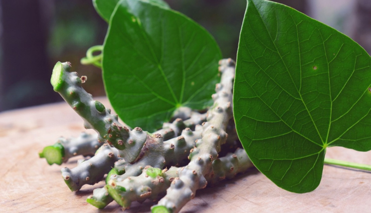 कमजोर लीवर के लिए संजीवनी बूटी का काम करेगी ये आयुर्वेदिक जड़ी-बूटीयां ayurvedic liver support,liver health remedies,natural liver detox,ayurvedic liver cleanse,herbs for liver strength,liver wellness solutions,ayurvedic liver tonic,herbal liver rejuvenation,liver vitality herbs,ayurvedic liver care supplements,holistic liver health,liver function support herbs,herbal remedies for liver weakness,ayurvedic liver fortification,liver detoxification herbs,traditional liver health remedies,ayurvedic liver regeneration,herbal liver protection,liver wellness boosters,ayurvedic liver health supplements