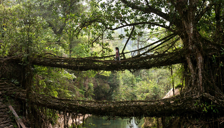 trekking in meghalaya,adventurous trekking meghalaya,best trekking places meghalaya,meghalaya trekking spots,trekking routes meghalaya,meghalaya adventure travel,hiking trails meghalaya,explore meghalaya treks,top treks in meghalaya,trekking destinations meghalaya