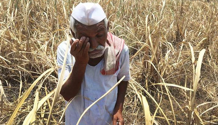 coronavirus update,highlights of loan to farmers,farmer loan in rajasthan,rajasthan govt,ashok gehlot,news