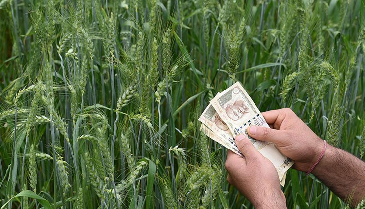 Coronavirus Update- Highlights About The Loan Being Provided To Rajasthan Farmers