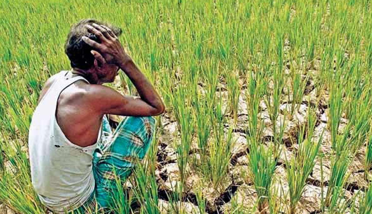 coronavirus update,highlights of loan to farmers,farmer loan in rajasthan,rajasthan govt,ashok gehlot,news