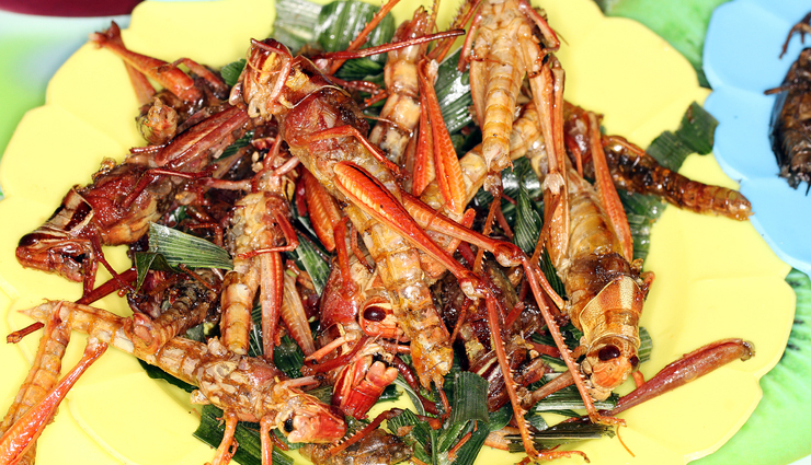 nigerian food,weird nigerian food,travel,holidays,travel guide