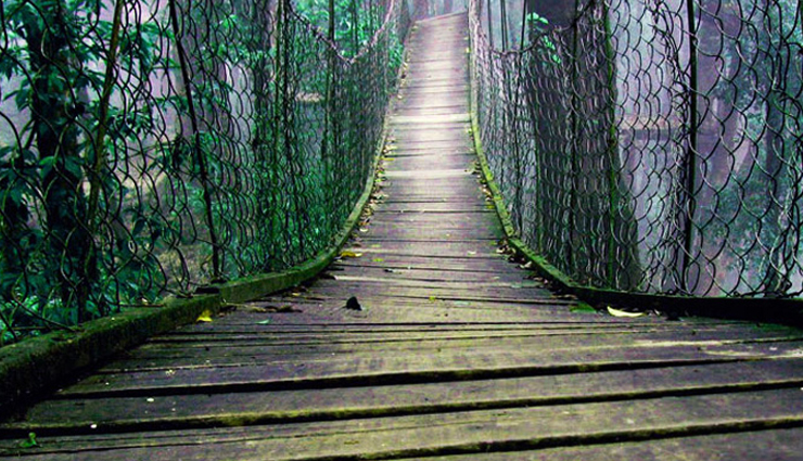 kalimpong tourist attractions,must-visit places in kalimpong,explore kalimpong top attractions,sightseeing in kalimpong,west bengal,best places to visit in kalimpong,kalimpong famous tourist spots,kalimpong travel guide top attractions,unmissable sights in kalimpong,kalimpong popular tourist destinations,discover the beauty of kalimpong tourist attractions