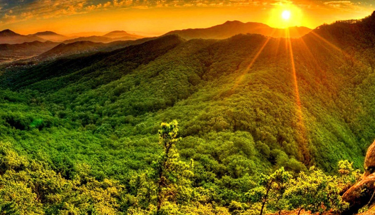 india,holidays with your pet,top destinations for holidays with your pet,india travel,india tourism,tourist places in india