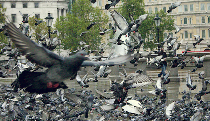 facts about london,london,amazing facts