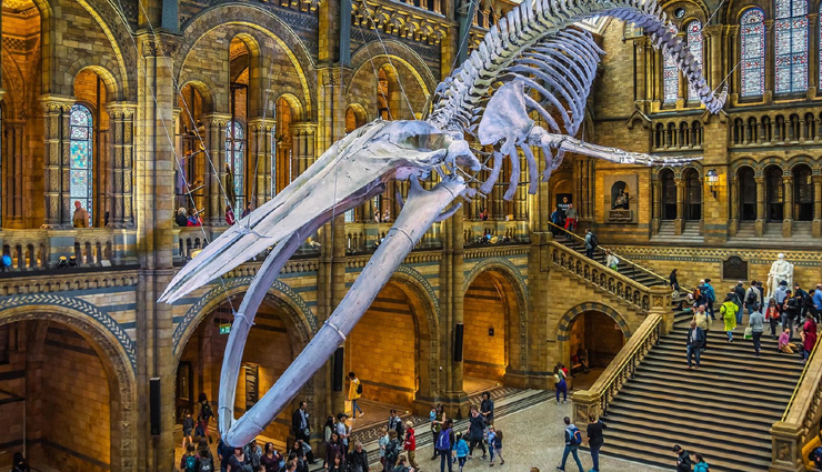 london,london travel,tourist destinations in london,london travel guide,london travel tips,england,travel guide,travel tips,holidays,travel destinations