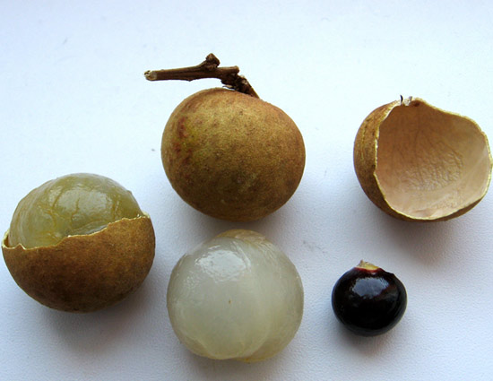 The Best Fruit to Treat Isomnia is Here. Read More Benefits