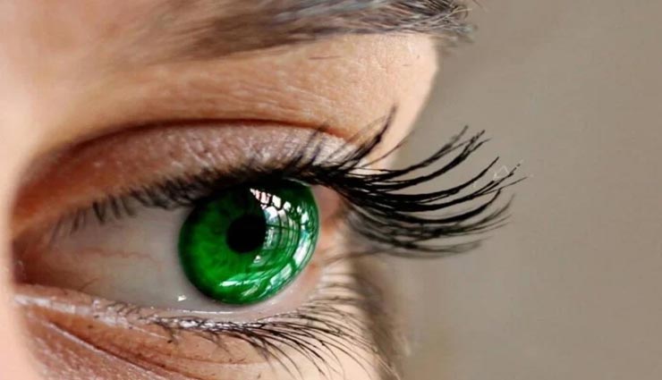 घनी पलकों के लिए आजमाए ये उपाय, सुंदरता में लगेंगे चार चांद