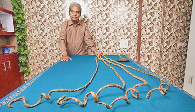 guinness world record,guinness book of records,guinness book of world records