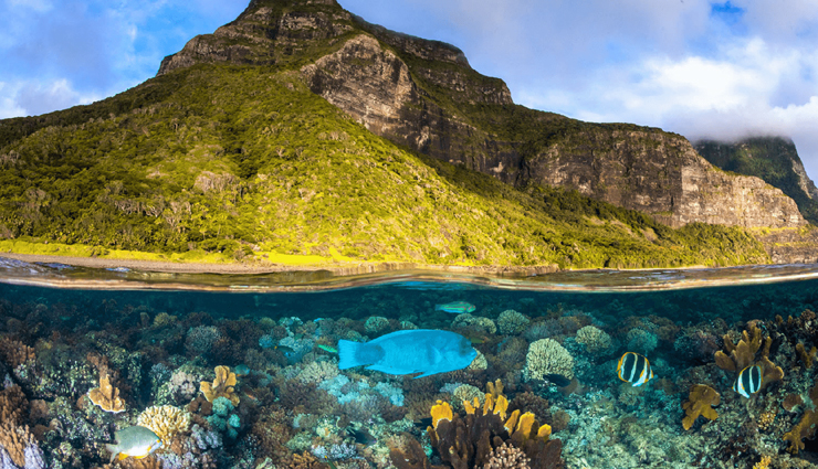 australian islands,island adventures australia,best islands to visit down under,paradise islands australia,top island getaways,island hopping australia,australian island escapes,island paradise down under,discover australias islands,island vacations in australia