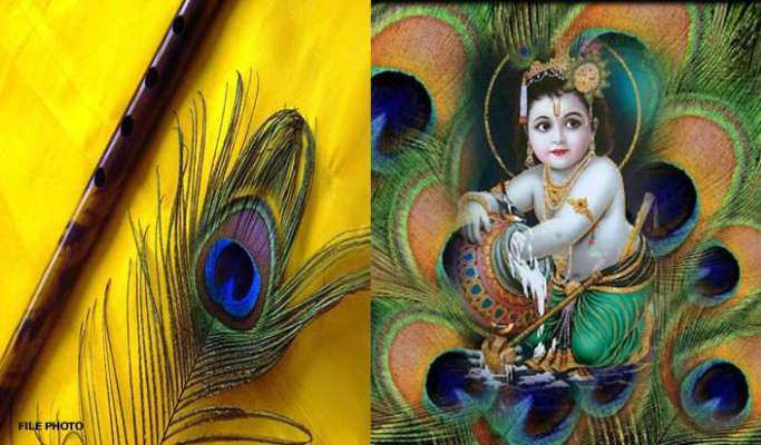 lord krishna crown,peacock feather,janmashtami special