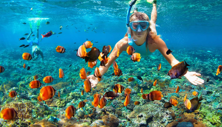 los cabos,things to do in los cabos,places to visit in los cabos,travel tips,mexico