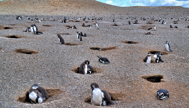 tourist attractions chile,must-visit places chile,chile travel destinations,top tourist spots chile,chile sightseeing locations,best places to visit chile,chile vacation destinations,chilean landmarks,chile travel guide,chile bucket list attractions