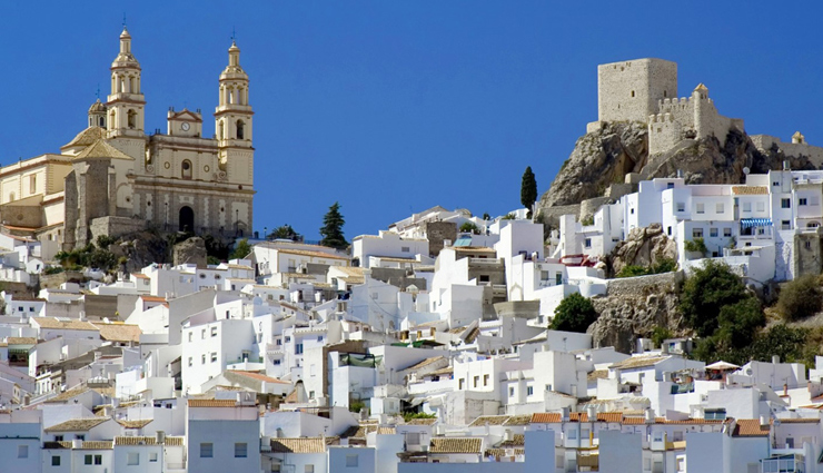 andalusian terrain,flamenco at el palacio andaluz in seville,espetos de sardinas malagueno in malaga,sacromonte,the great mosque of cordoba,alcazar de sevilla,los pueblos blancos arcos de la frontera,travel,tourism,holidays