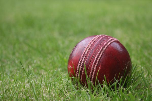 cricket,weird rules of cricket,weird stories,cricket news