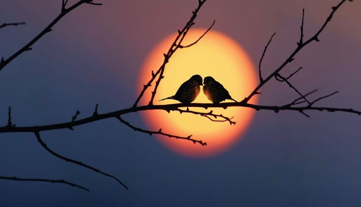 मां लक्ष्मी को समर्पित होता हैं शुक्रवार, इन 10 काम से घर में होगा धन का आगमन astrology tips,astrology tips in hindi,goddess laxmi,laxmi worship