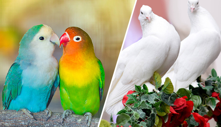 symbol of love,heart symbolism,cupid and arrow,moon and stars meaning,swans as love symbols,red roses signify love,lovebirds and doves,symbolic rings in love,locks and keys symbolize commitment,harp as a love symbol