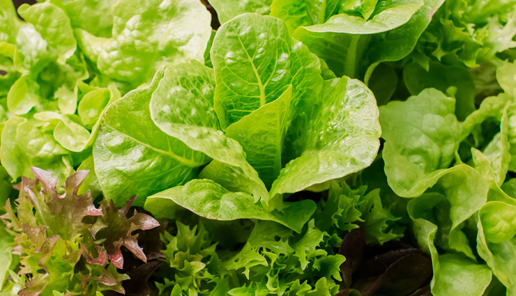 low calorie foods,food to eat,Health tips,fitness tips