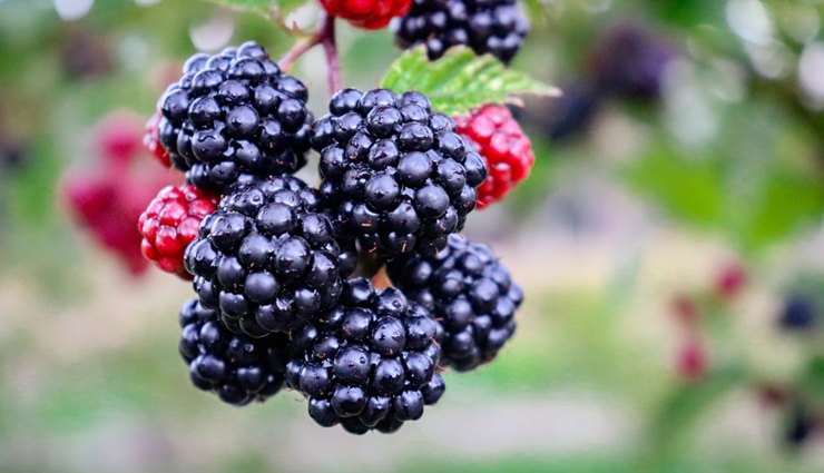 low carb fruits,dieting tips,Health tips,fitness tips