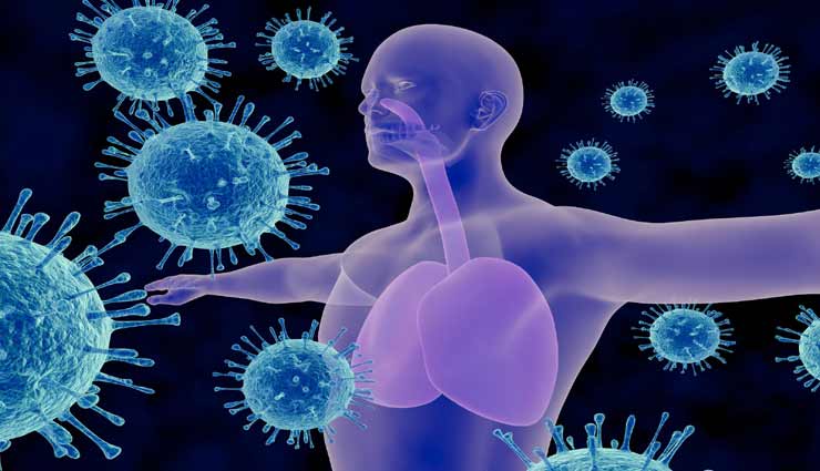 आपके इम्यून सिस्टम को कमजोर कर रहें हैं ये आहार, रहें सावधान
