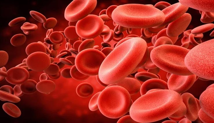 ये 4 सुपरफूड करेंगे शरीर में आयरन की पूर्ति, गंभीर समस्याओं से होगा बचाव