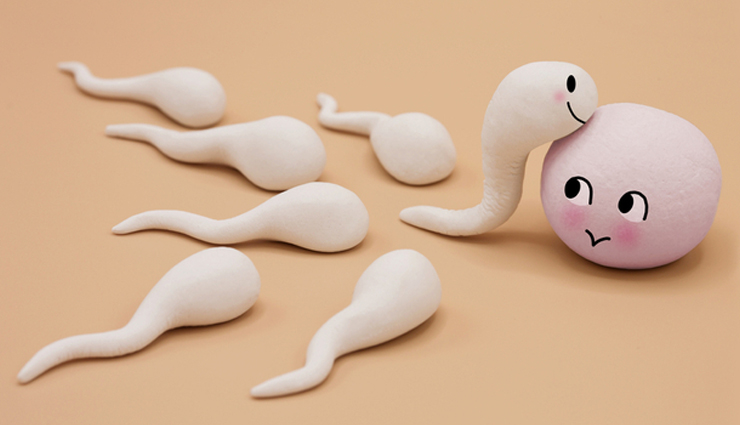 8 Home Remedies Effective for Treating Low Sperm Count