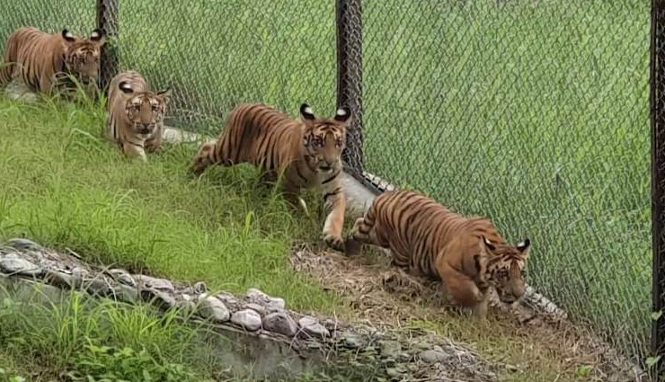 lucknow,places to visit in lucknow,bara imambara,ambedkar memorial park,hazratganj market,lucknow museum,lucknow zoo,british residency