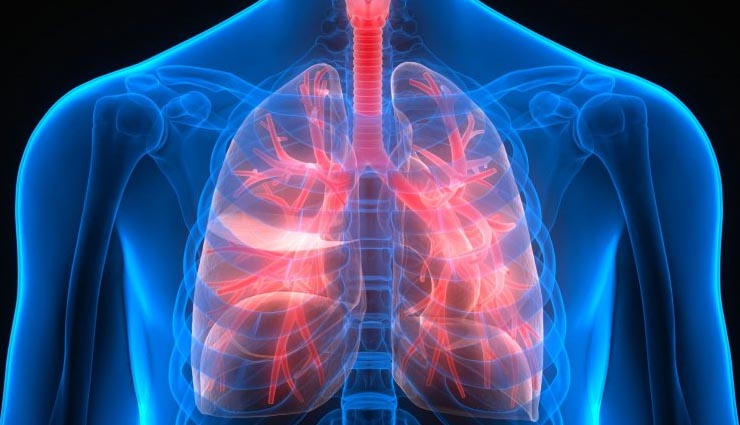 lungs,healthy lungs,unhealthy lungs,food items,healthy tips,healthy living