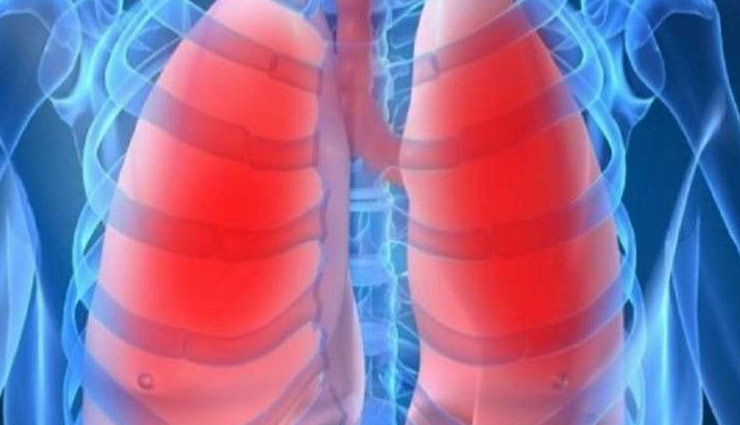 liver,kidney,coronavirus symptoms,sars,mers,coronavirus,coronavirus prevent,corona virus disease,Health