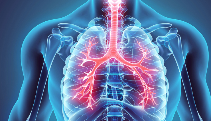 7 Key Nutrients That are Good For Your Lungs