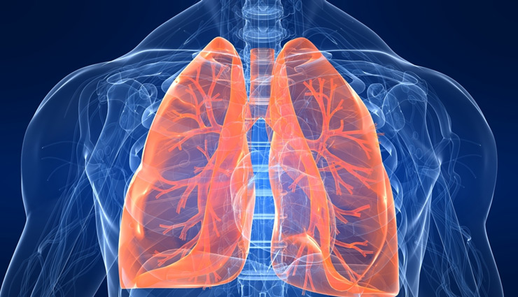 इंसान के शरीर में मिला नया अंग, Respiratory System को रखता है दुरुस्त